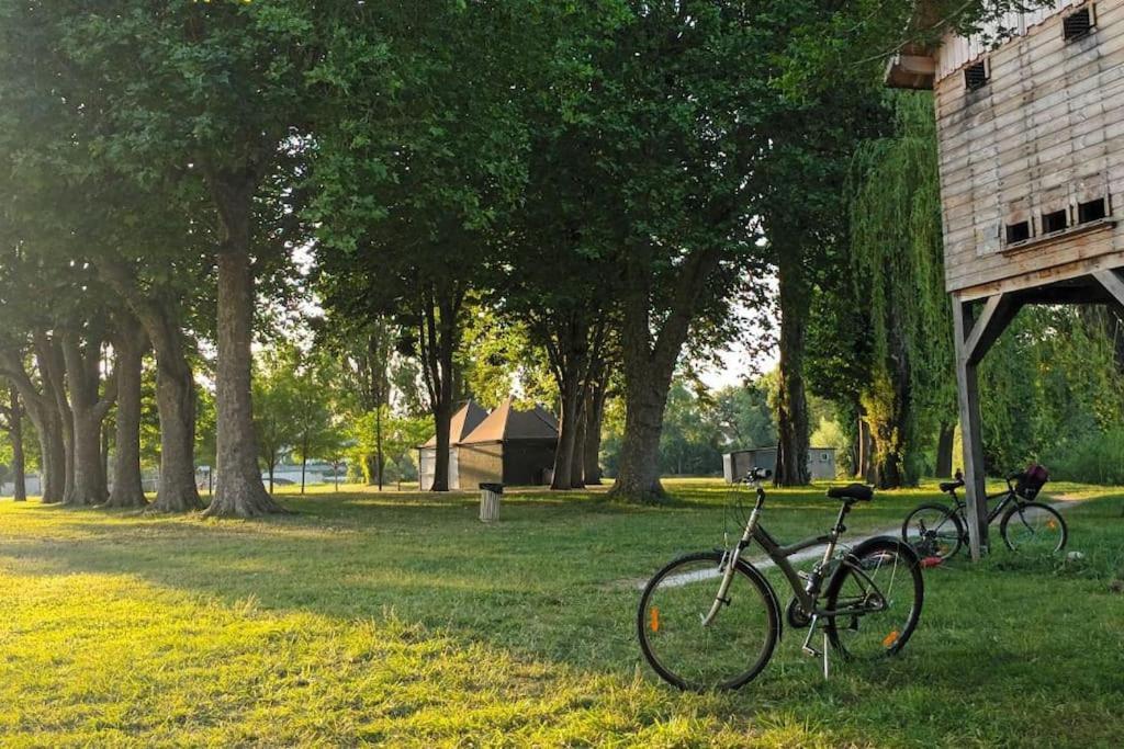 Holiday home *gite Aux Grappes Du Pressoir* A 2 Km De Beauval *